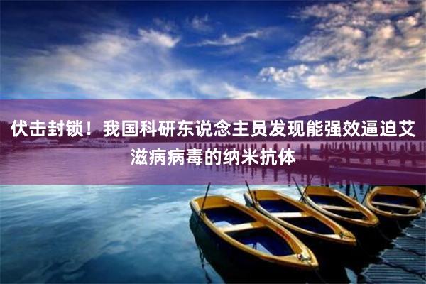 伏击封锁！我国科研东说念主员发现能强效逼迫艾滋病病毒的纳米抗体