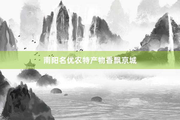 南阳名优农特产物香飘京城