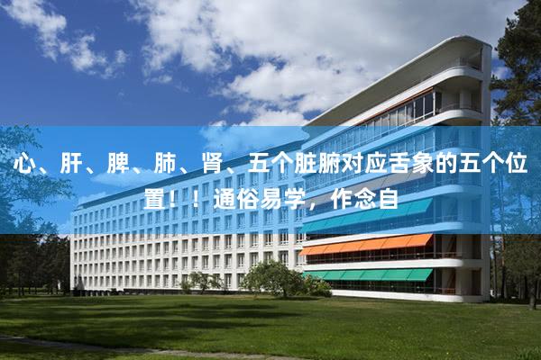 心、肝、脾、肺、肾、五个脏腑对应舌象的五个位置！！通俗易学，作念自