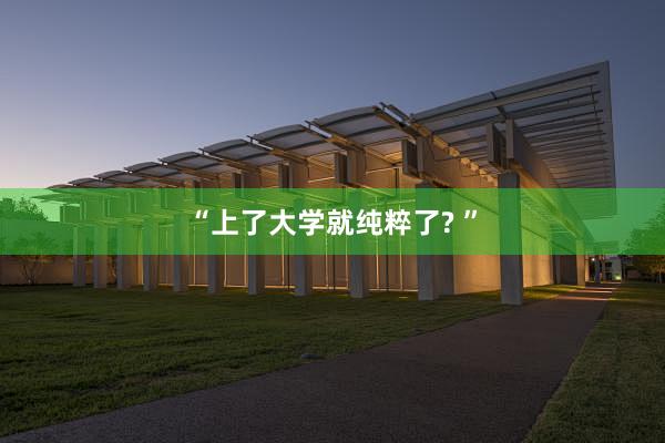 “上了大学就纯粹了? ”