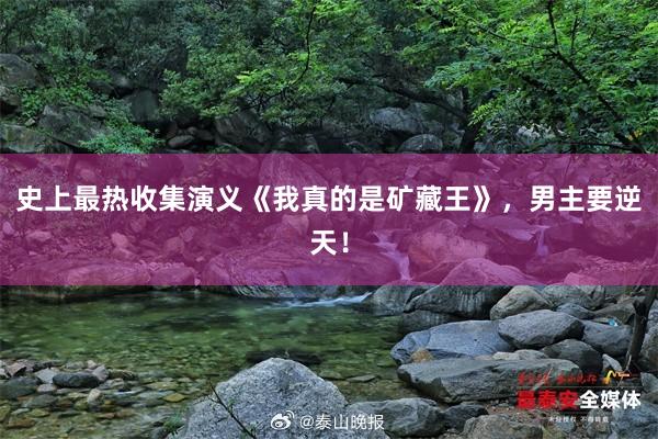 史上最热收集演义《我真的是矿藏王》，男主要逆天！
