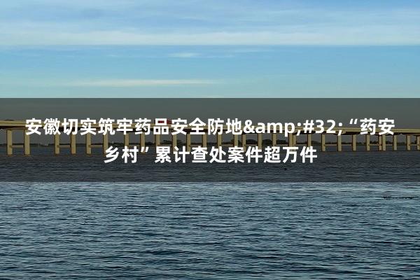 安徽切实筑牢药品安全防地&#32;“药安乡村”累计查处案件超万件