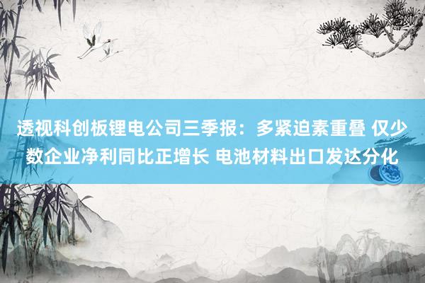 透视科创板锂电公司三季报：多紧迫素重叠 仅少数企业净利同比正增长 电池材料出口发达分化