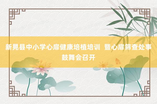 新晃县中小学心扉健康培植培训  暨心扉筛查处事鼓舞会召开