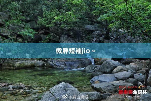 微胖短袖jio～