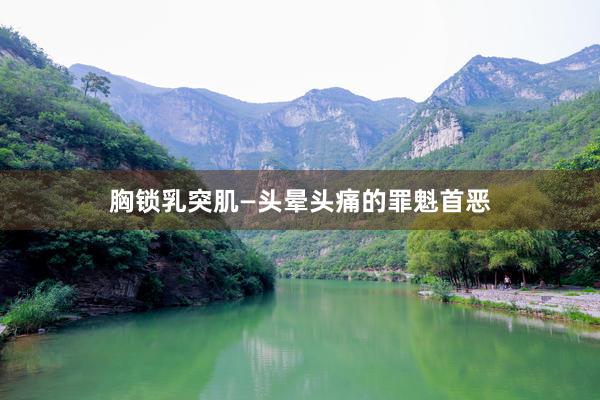 胸锁乳突肌—头晕头痛的罪魁首恶