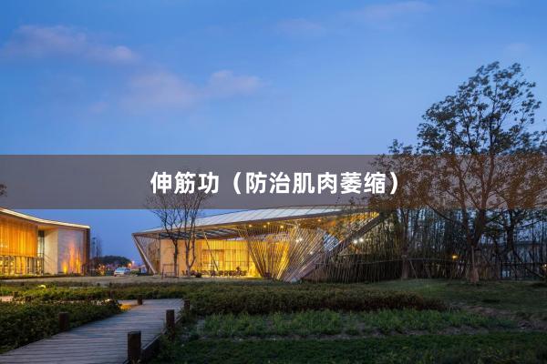 伸筋功（防治肌肉萎缩）